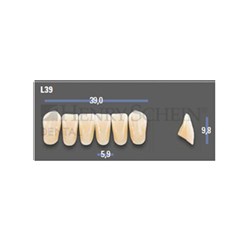 VITAPAN EXCELL Classical Lower Anterior Shade A1 Mould L39