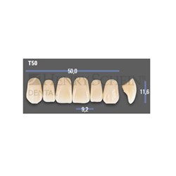 VITAPAN EXCELL Classical Upper Anterior Shade B2 Mould T50