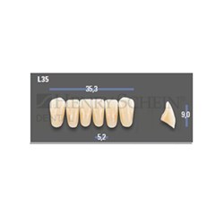 VITAPAN EXCELL Classical Lower Anterior Shade B3 Mould L35