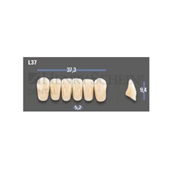 VITAPAN EXCELL Classical Lower Anterior Shade B3 Mould L37