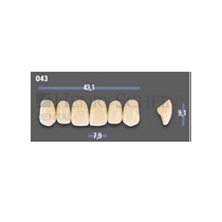 VITAPAN EXCELL Classical Upper Anterior Shade B3 Mould O43