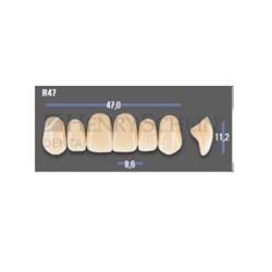 VITAPAN EXCELL Classical Upper Anterior Shade B3 Mould R47