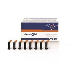 GRANDIO SO A1 Capsule 0.25g x 16