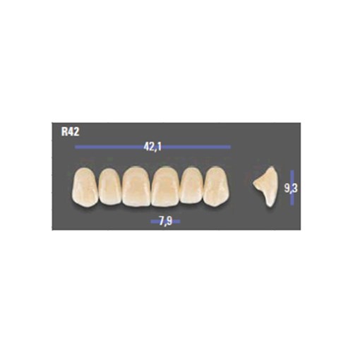 MFT 1M1 R42 Anterior x6