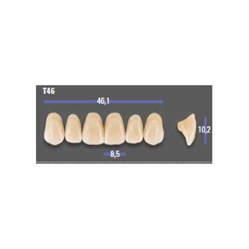 MFT 1M1 T46 Anterior x6