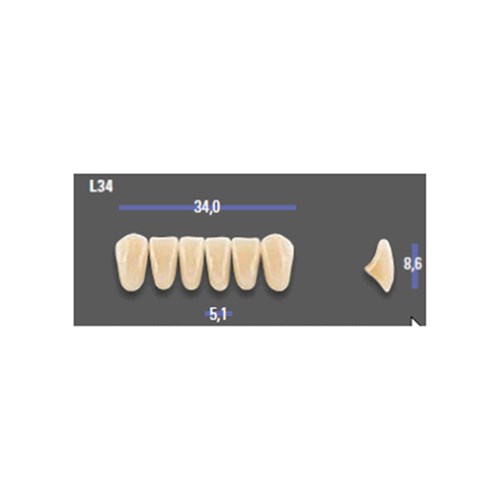 MFT 2L15 L34 Anterior x6