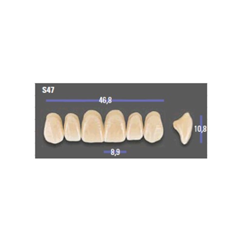 MFT 2L15 S47 Anterior x6