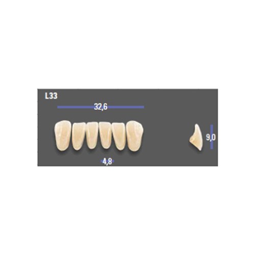 MFT 3L15 L33 Anterior x6