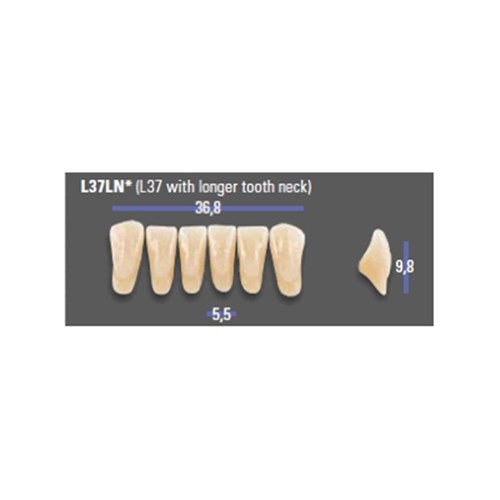 MFT 3M2 L37LN Anterior x6