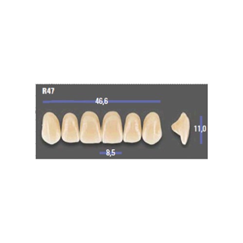 MFT 3R25 R47 Anterior x6