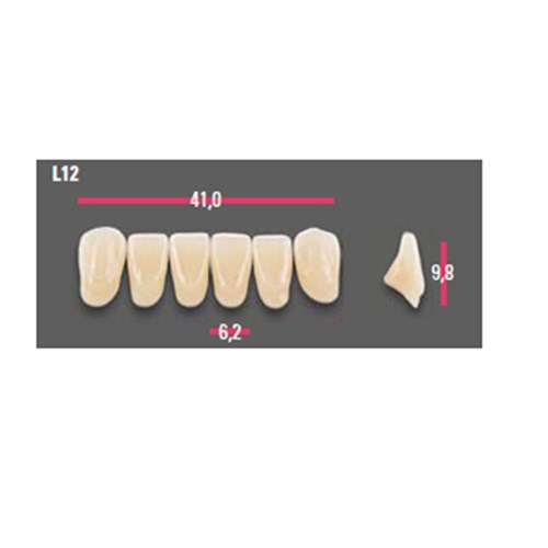 Vitapan Anterior Shade A1 Lower Mould L12 Set 6