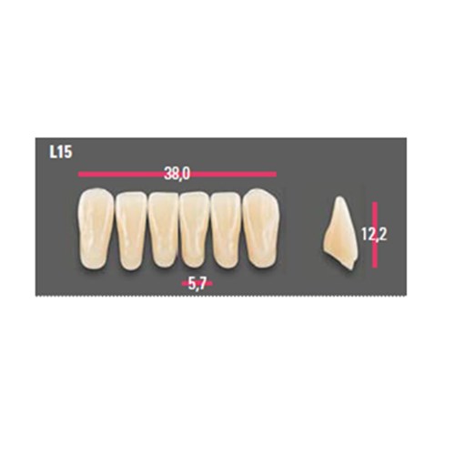 Vitapan Anterior Shade A1 Lower Mould L15 Set 6