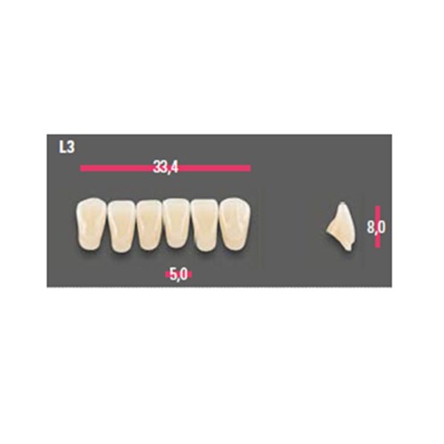 Vitapan Anterior Shade A1 Lower Mould L3 Set 6