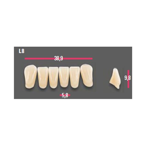 Vitapan Anterior Shade A1 Lower Mould L8 Set 6