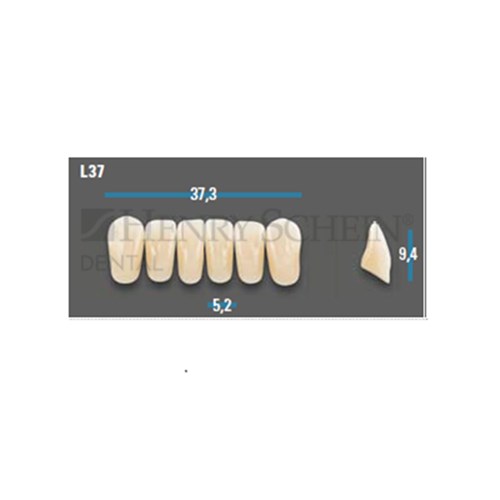 Vitapan Plus Anterior Shade A2 Lower Mould L37 Set 6
