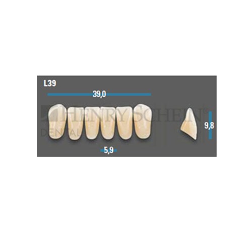 Vitapan Plus Anterior Shade A2 Lower Mould L39 Set 6