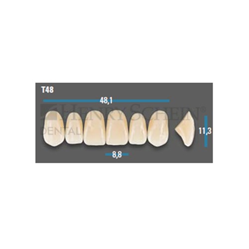 Vitapan Plus Anterior Shade A2 Upper Mould T48 Set 6