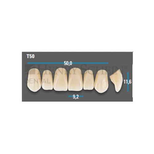 Vitapan Plus Upper Anterior Shade A2 Mould T50 Classical