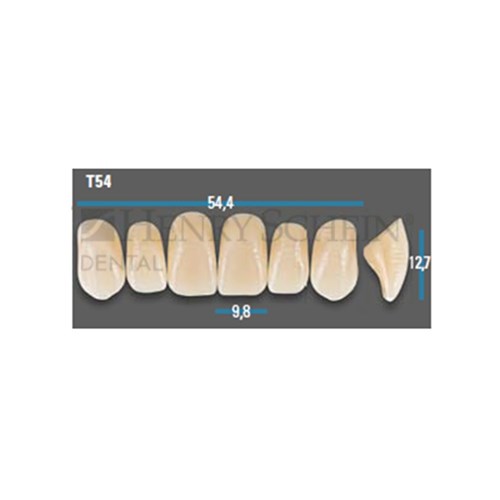 Vitapan Plus Upper Anterior Shade A2 Mould T54 Classical