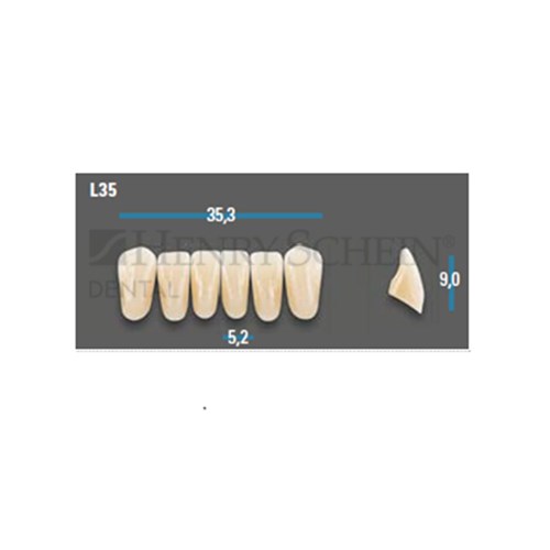 Vitapan Plus Anterior Shade A3 Lower Mould L35 Set 6