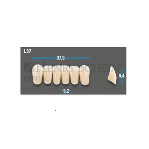 Vitapan Plus Anterior Shade A3 Lower Mould L37 Set 6