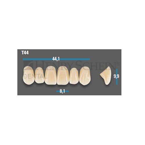 Vitapan Plus Anterior Shade A3.5 Upper Mould T44 Set 6