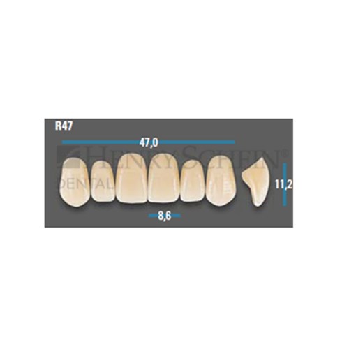 Vitapan Plus Anterior Shade B2 Upper Mould R47 Set 6