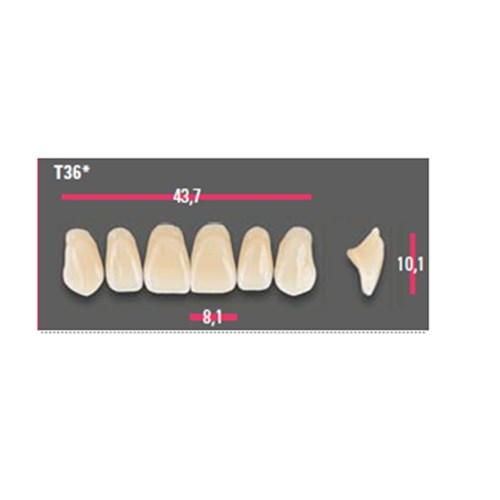 Vitapan Anterior Shade B2 Upper Mould T36 Set 6