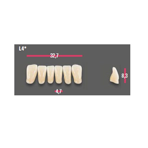 Vitapan Anterior Shade B3 Lower Mould L4 Set 6