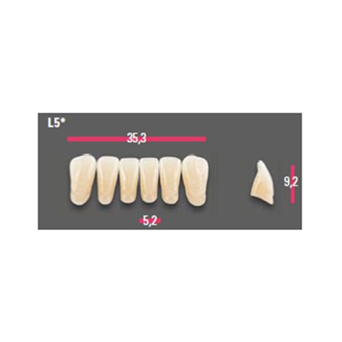 Vitapan Anterior Shade B3 Lower Mould L5 Set 6