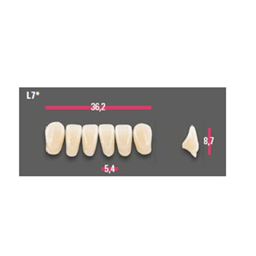 Vitapan Anterior Shade B3 Lower Mould L7 Set 6