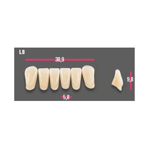 Vitapan Anterior Shade B3 Lower Mould L8 Set 6