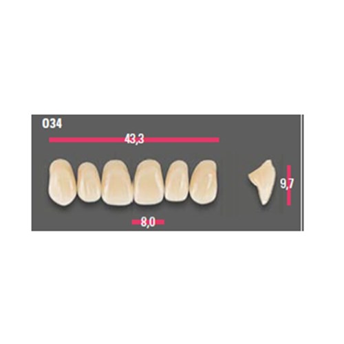 Vitapan Anterior Shade B3 Upper Mould O34 Set 6