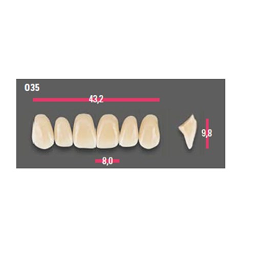 Vitapan Anterior Shade B3 Upper Mould O35 Set 6