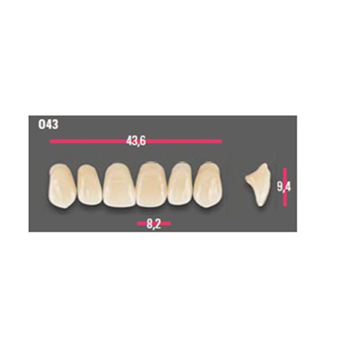 Vitapan Anterior Shade B3 Upper Mould O43 Set 6