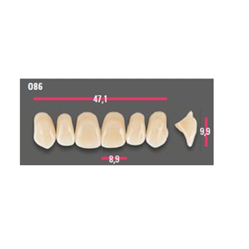 Vitapan Anterior Shade B3 Upper Mould O86 Set 6