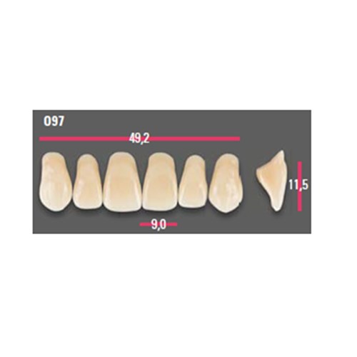 Vitapan Anterior Shade B3 Upper Mould O97 Set 6