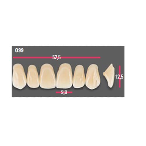 Vitapan Anterior Shade B3 Upper Mould O99 Set 6
