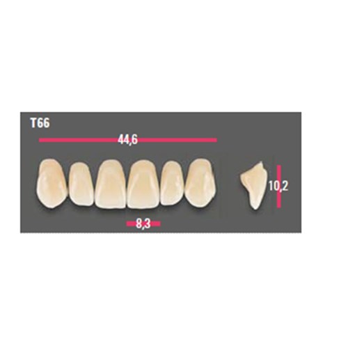 Vitapan Anterior Shade B3 Upper Mould T66 Set 6