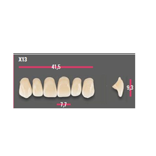 Vitapan Anterior Shade B3 Upper Mould X13 Set 6