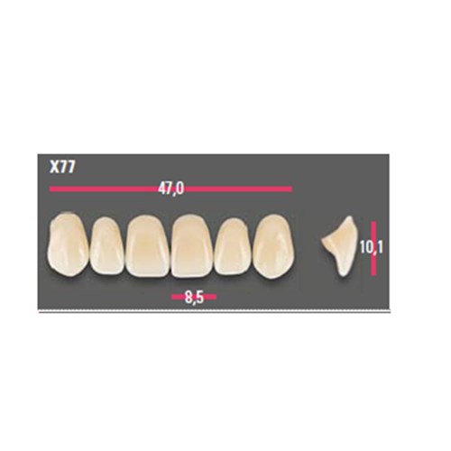 Vitapan Anterior Shade B3 Upper Mould X77 Set 6