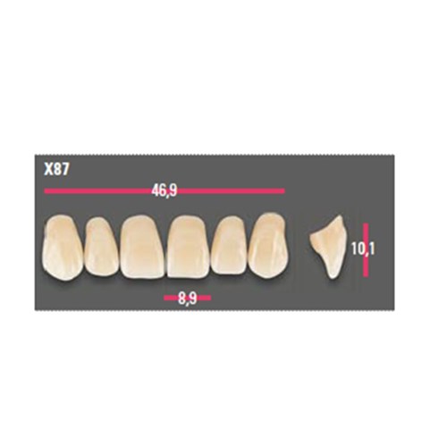 Vitapan Anterior Shade B3 Upper Mould X87 Set 6