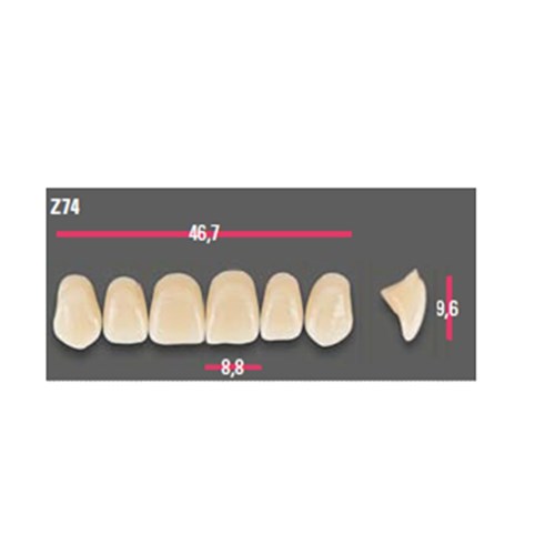 Vitapan Anterior Shade B3 Upper Mould Z74 Set 6