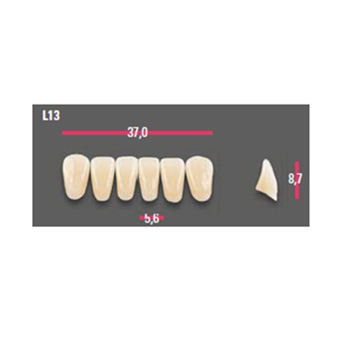 Vitapan Anterior Shade B4 Lower Mould L13 Set 6
