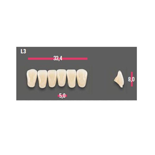 Vitapan Anterior Shade B4 Lower Mould L3 Set 6