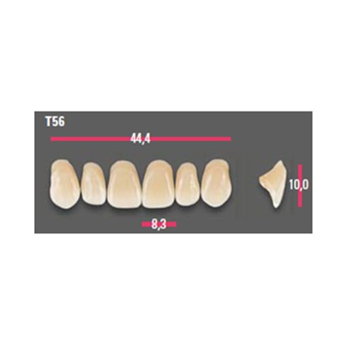 Vitapan Anterior Shade C2 Upper Mould T56 Set 6