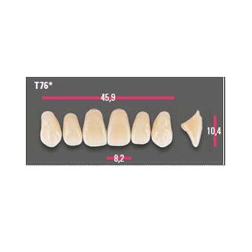 Vitapan Anterior Shade C2 Upper Mould T76 Set 6