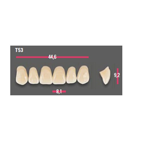 Vitapan Anterior Shade C4 Upper Mould T53 Set 6