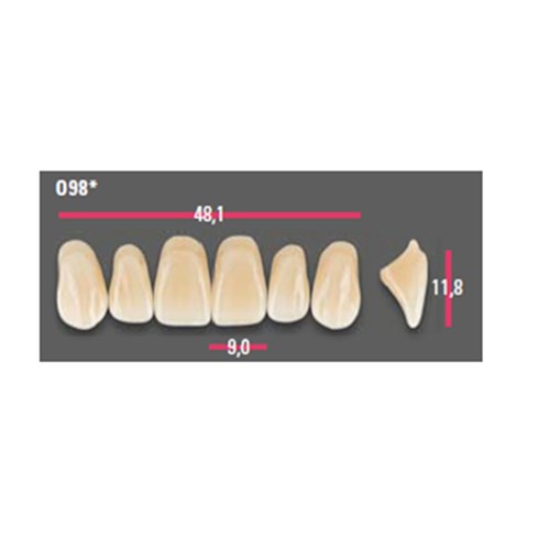Vitapan Anterior Shade D2 Upper Mould O98 Set 6