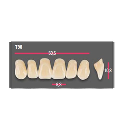 Vitapan Anterior Shade D2 Upper Mould T98 Set 6